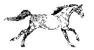 Horse Robot