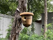 My first Acorn Birdhouse
